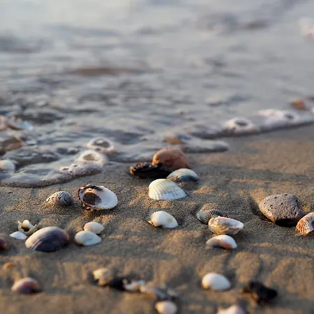 Sunny Getaway For 6 Guests In Bibione